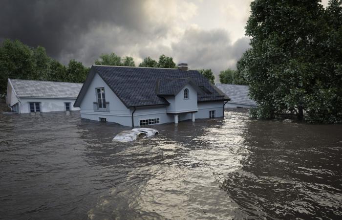 Storm Kirk: Der Stand der Naturkatastrophen in Essonne und Yvelines