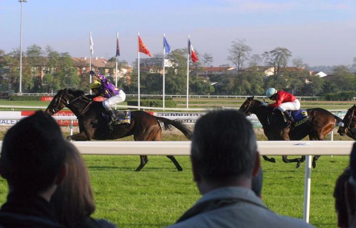 „Ein spektakulärer Sturz mitten auf der Geraden“, der spanische Jockey Ioritz Mendizabal verletzte sich bei einem Pferderennen schwer