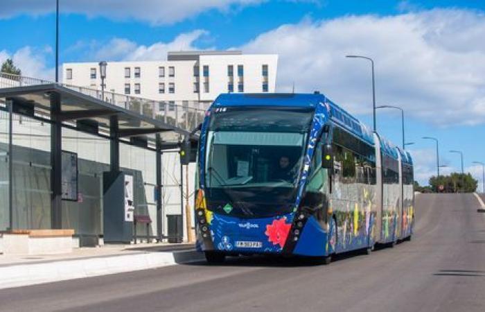 Die Verteilung der Bäume durch die renommierte Metropole