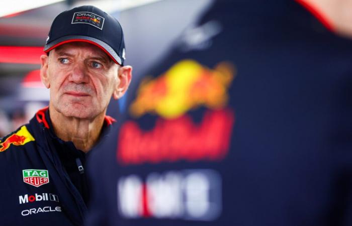 „Was sie mit dem Abgang von Adrian Newey verloren haben“: Buttons Analyse