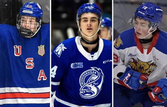 NHL Draft: Überraschung Nummer eins für diesen Experten, einen Quebecer in den Top 10