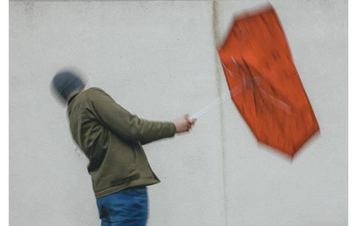 Der Morgen. Isère auf orange „Wind“-Wachsamkeit, der Prozess wegen Mordes an Victorine beginnt heute… Die wichtigsten Nachrichten für diesen Montag