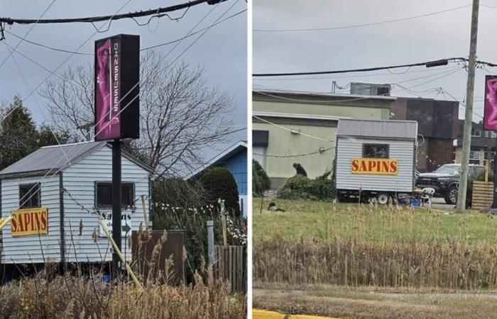 Weihnachtsbäume, die auf dem Parkplatz einer Nackttänzer-Bar in Montérégie verkauft werden, zaubern Internetnutzern ein Lächeln ins Gesicht