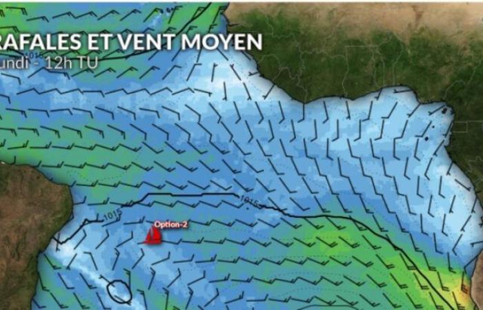 Wetter Vendée Globe: Die Spitzenreiter festigen ihren Vorsprung und rasen mit Vollgas Richtung Bonne Espérance