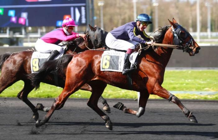 DIENSTAGSRENNEN IN PARIS-VINCENNES