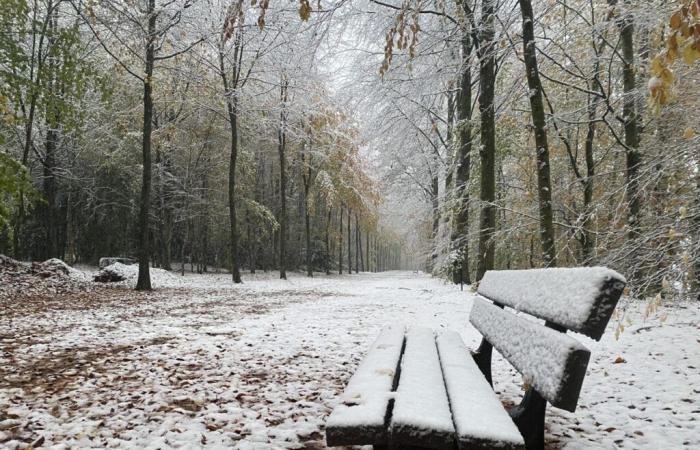 Nach Schnee und Wind war der Park dieses Orne-Schlosses die ganze Woche geschlossen