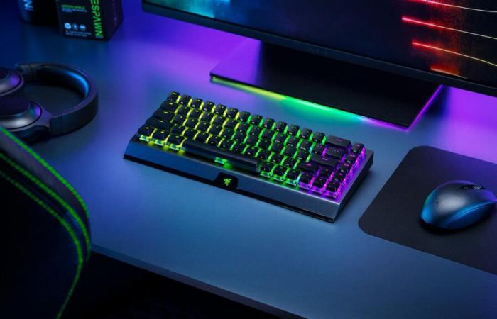 Die Razer Blackwidow V3 Mini TKL-Tastatur gibt es zum Black Friday zu einem unglaublichen Preis (-61%)