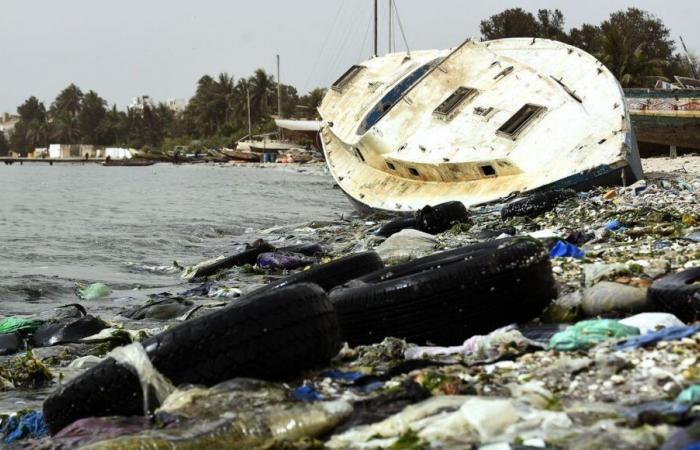 „Zero Waste Senegal“: In Dakar wird der Kampf gegen die Plastikverschmutzung organisiert