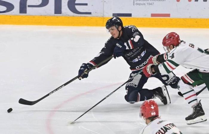 Eishockey – Coupe de France (8.). Mit den Herzögen von Angers ist es Taverniers Tour