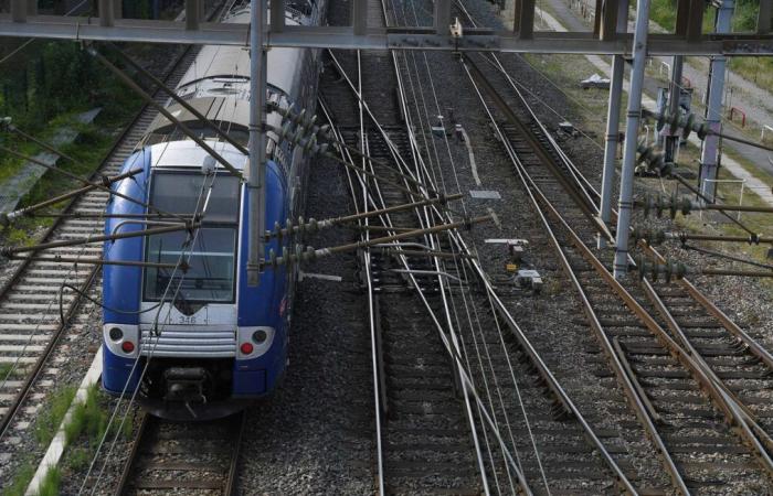 SNCF rechnet aufgrund des Unwetters mit Schwierigkeiten auf den Schienen