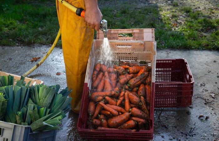 Die Megabecken der Vendée, ein „Modell“ voller Lecks