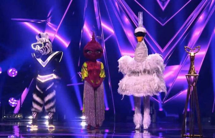 Hier ist der große Gewinner von „Masked Singers“