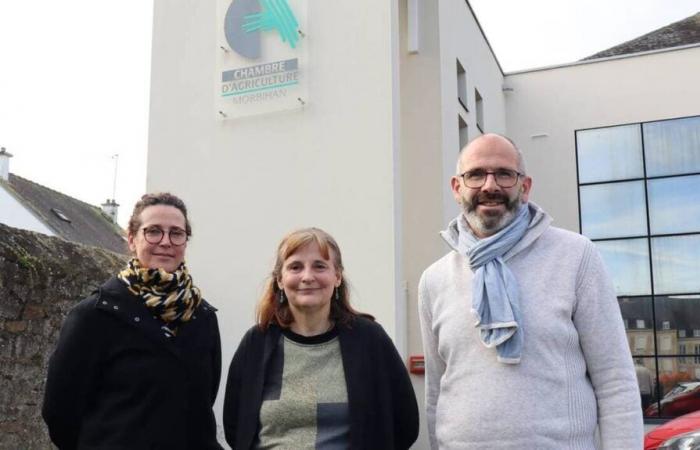 Ein Tag, um den Bauern bei der Ansiedlung im Morbihan zu helfen