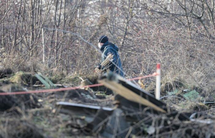 Deutschland wirft die Möglichkeit einer externen Intervention auf