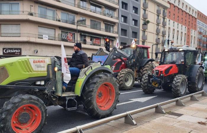 Die Traktoren treffen an diesem Dienstagmorgen in Perpignan ein, die Präfektur empfiehlt, alle Reisen zu vermeiden