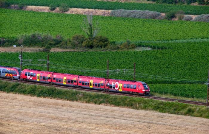 „Der Bahnverkehr wird stark beeinträchtigt“, ein komplizierter Montag für Reisende im Westen der Region