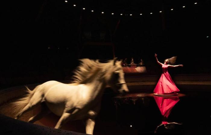 Bartabas, Gründer des Zingaro Equestrian Theatre: „Was ich mache, ist handwerklich, ich versuche nicht, Spuren zu hinterlassen“