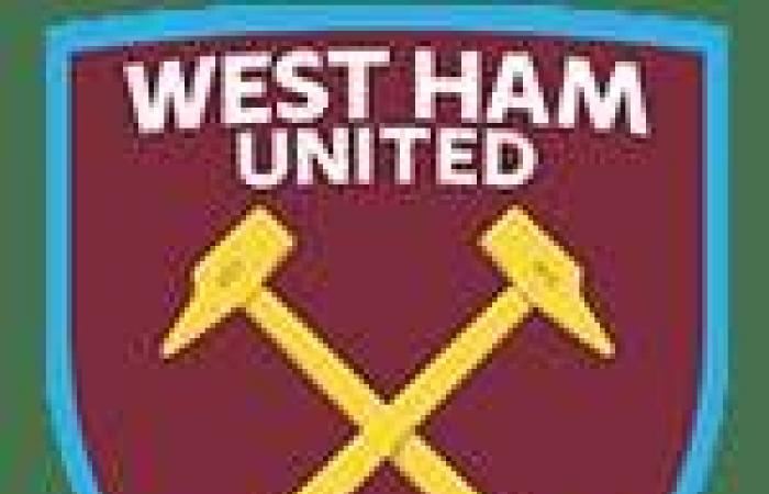 Newcastle verliert zu Hause gegen West Ham und verliert an Gewicht – Premier League – J12 – Newcastle-West Ham (0-2)