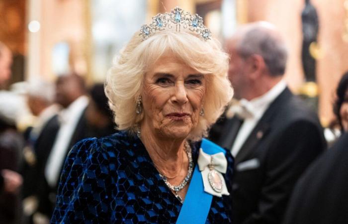 Camilla Parker Bowles: Dieses Hobby, das viele Menschen ansprechen wird, macht sie sehr wettbewerbsfähig