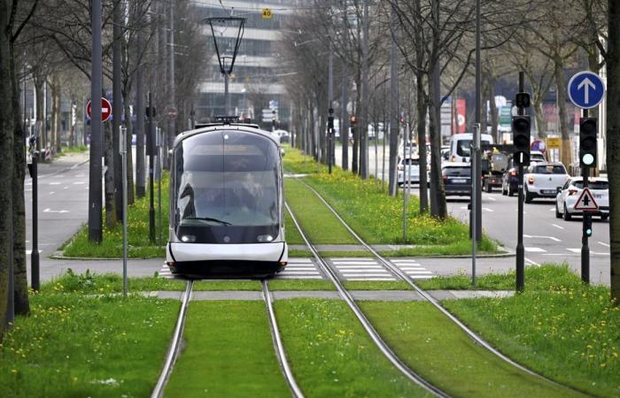 Kundenkonten der Compagnie des transports strasbourgeois sind Opfer betrügerischer Zugriffe