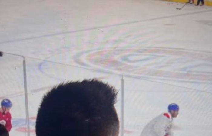 Tomas Plekanec hat gerade eine Nachricht an die kanadischen Fans weitergegeben