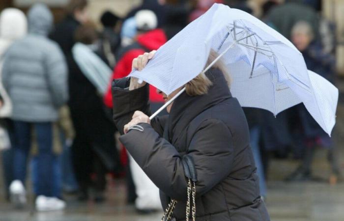 Starker Wind: neun zentralöstliche Departements in Alarmbereitschaft versetzt, SNCF-Verkehr gestört