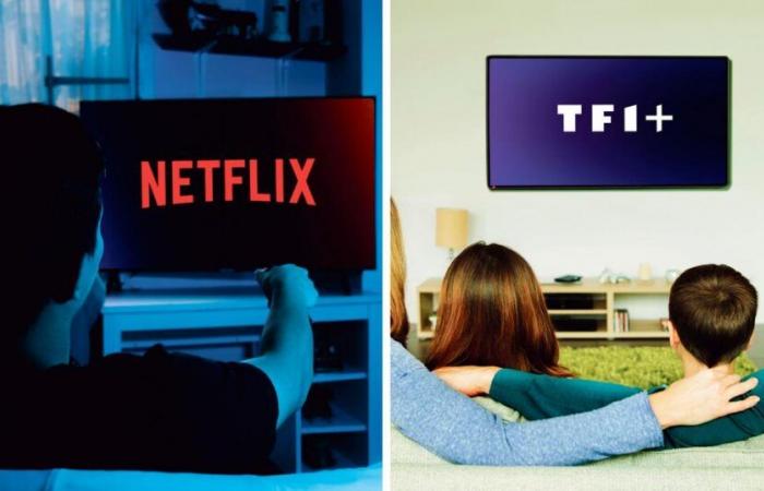 TF1 und Netflix bündeln ihre Kräfte, um gemeinsam eine neue tägliche Fiktion auszustrahlen