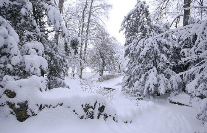 Ist bis Weihnachten weiterer Schneefall möglich? 25.11.2024