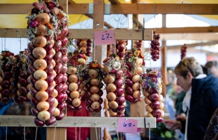 Zibelemärit in Bern: 33’655 Kilo Zwiebeln standen im Angebot