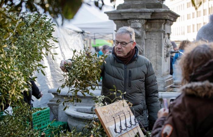 Zibelemärit in Bern: 33’655 Kilo Zwiebeln standen im Angebot