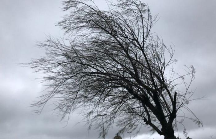 Wetter: Neun zentralöstliche Departements in Alarmstufe Orange wegen „starkem Wind“, Züge werden präventiv abgesagt