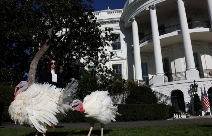 Zum letzten Mal in seiner Amtszeit begnadigt Joe Biden zwei Truthähne vor Thanksgiving