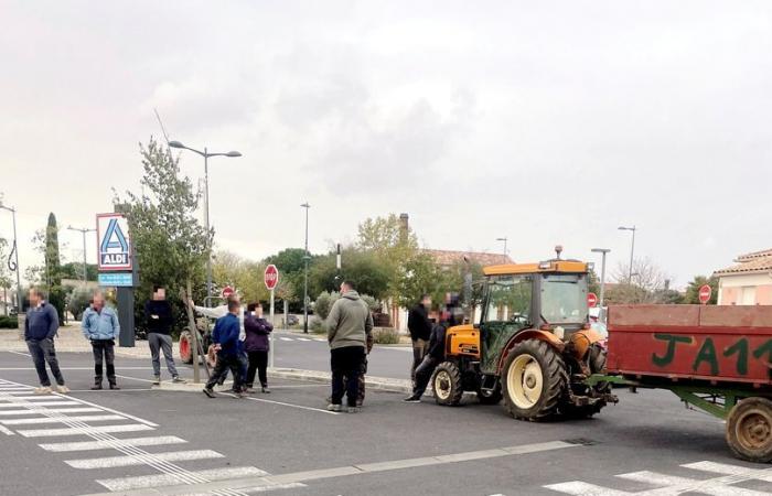 Wütende Bauern: In Aude greifen Winzer einen Supermarkt an, der „zu viel“ für spanische Weine wirbt