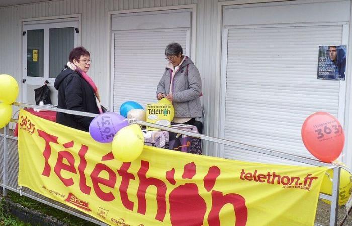 Cressensac-Sarrazac. Pétanque, Wandern und Spiele für den Telethon