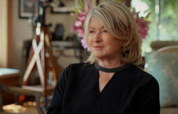 Martha Stewart: Nach dem Gefängnis, Geständnisse