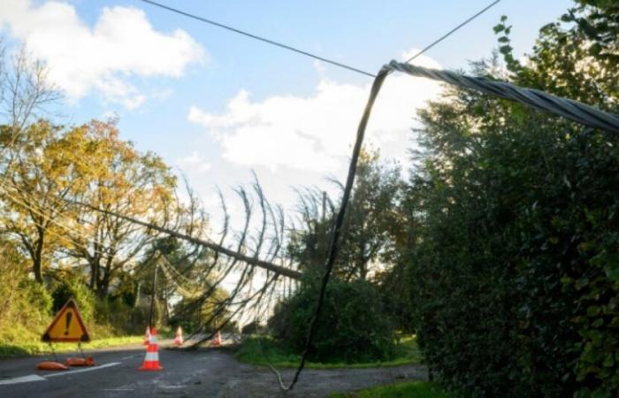 Starker Wind: Rhône und Loire immer noch in Alarmstufe Orange: Nachrichten