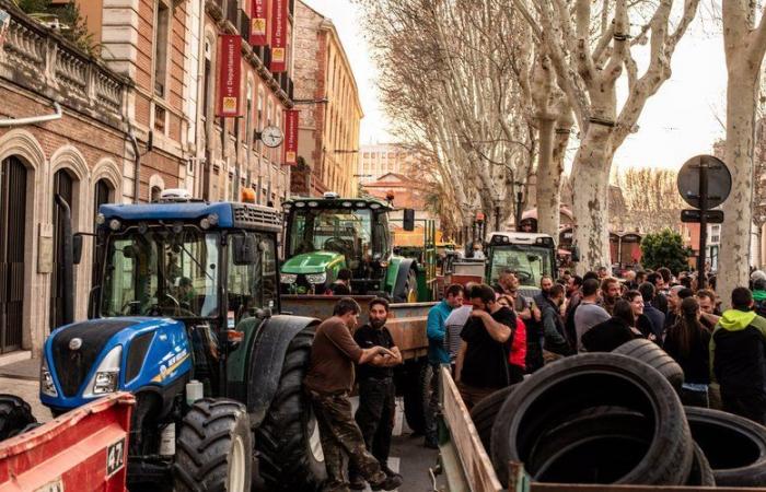 Verärgerte Bauern: „Bereiten Sie Ihre mit Pflanzen gefüllten Behälter vor“, die Mobilisierung wird an diesem Dienstag, dem 26. November, in den Pyrénées-Orientales fortgesetzt