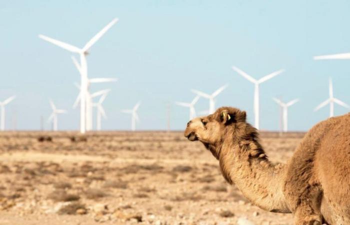 Wetterbericht. Leichter Temperaturrückgang an diesem Montag, 25. November, mit heißem Wetter im Souss und einigen Schauern im Atlas