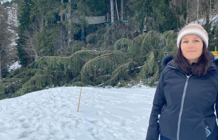 Savoie: Der Baumkronen-Abenteuerparcours Valmorel wurde vom Sturm Caetano zerstört, „in zwei Stunden war alles weg“