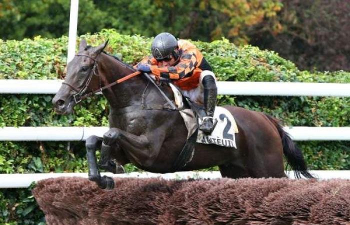 Kostenlose Vorhersage des GRANDE HURDLE RACE FÜR 4-JÄHRIGE (RENAUD DU VIVIER-PREIS)