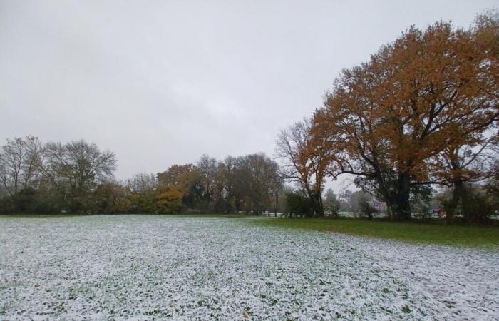 Wird es laut Météo-France diese Woche in der Sarthe sonniger?