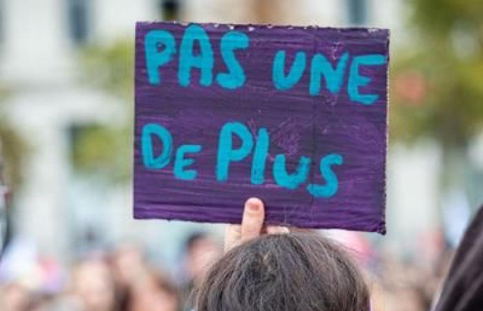 Frankreich: Wie ist gegenseitige Hilfe gegen Gewalt gegen Frauen organisiert?