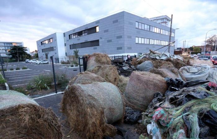 Wut der Bauern: Was erwartet uns diesen Dienstag in Tarn-et-Garonne?