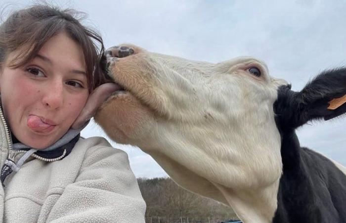 INTERVIEW. Colyne, Kandidatin für Miss France Agricole: „Zeigen Sie, dass der Platz einer Frau nicht in der Küche liegt“