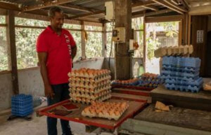 Lokaler Fleischmonat: Jean Ringuet, ein Schauspieler aus Guyana – Mo News