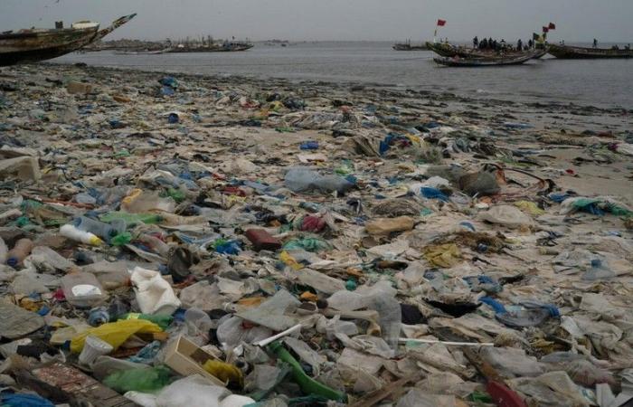 Senegal: Null-Abfall-Initiativen in Dakar zur Bekämpfung der Plastikverschmutzung – VivAfrik