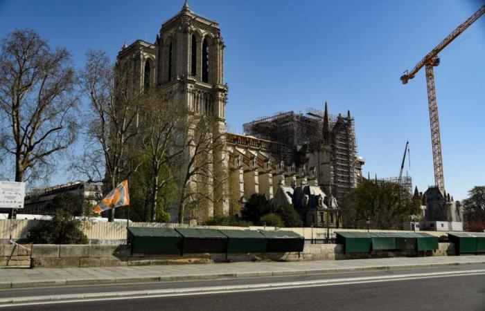 Als Liebhaber von Notre-Dame de Paris spendeten die Amerikaner Millionen von Dollar, um beim Wiederaufbau zu helfen