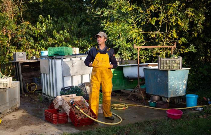 Die Megabecken der Vendée, ein „Modell“ voller Lecks