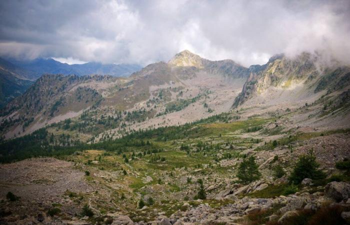 Hier ist die Wettervorhersage für diese Woche in den Alpes-Maritimes