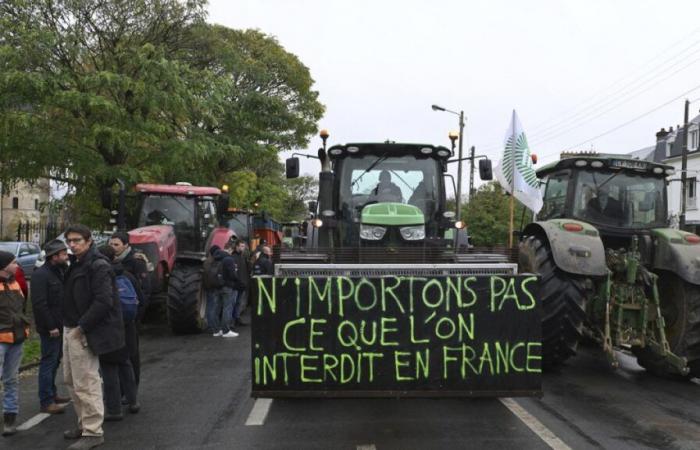 Frankreich versucht, eine Sperrminorität gegen das Handelsabkommen mit dem Mercosur zu sammeln